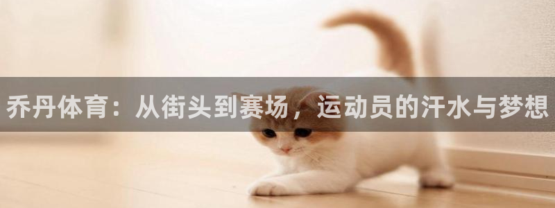 vsport体育官方正版app开户：乔丹体育：从街头