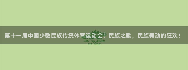 德国vsport体育官方正版app集团：第十一届中国