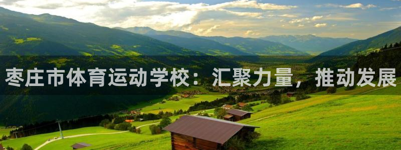 vsport体育官方正版app娱乐平台：枣庄市体育运动学校：