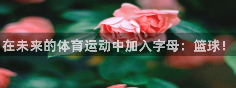 vsport体育官网下载招商电话是多少：在未来的体育运动中加