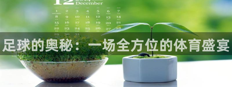 注册vsport体育官方正版app：足球的奥秘：一场全方位的