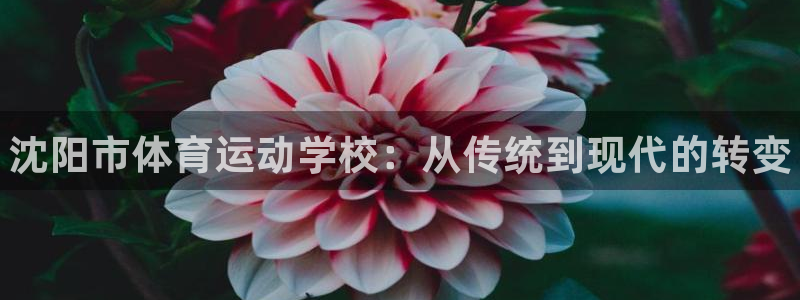 vsport体育官方正版app娱乐40996：沈阳市体育运动