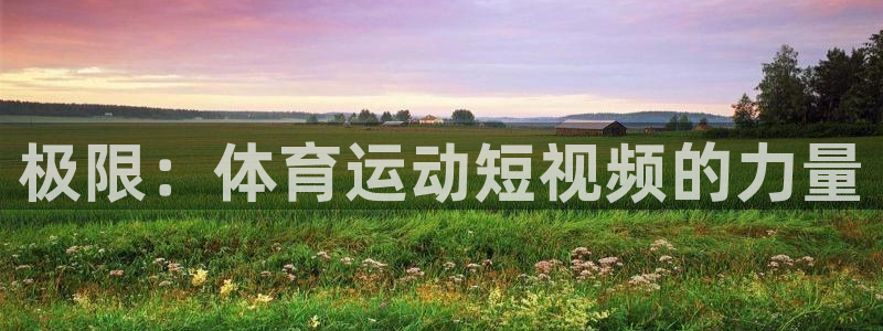 vsport体育官方正版app娱乐首页官网下载