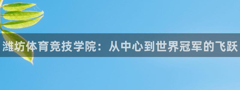 vsport体育官方正版app娱乐网站：潍坊体育竞技学院：从