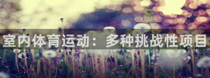 vsport体育官网下载平台是正规平台吗：室内体育运