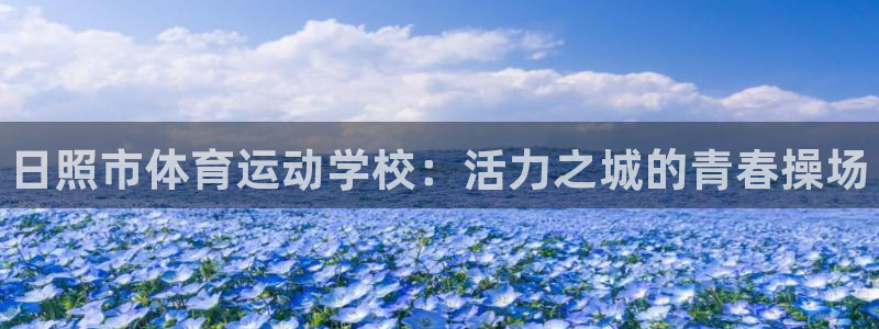 vsport体育官方正版app娱乐代理怎么样：日照市