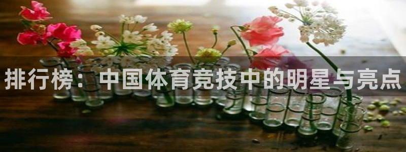 vsport体育官方正版app娱乐下载：排行榜：中国