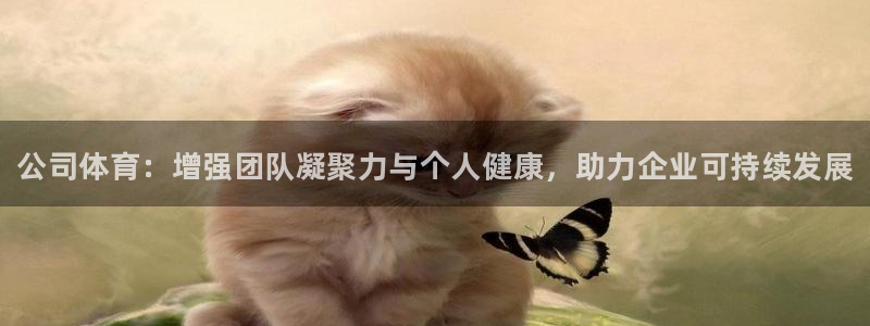vsport体育官方正版app新能源：公司体育：增强