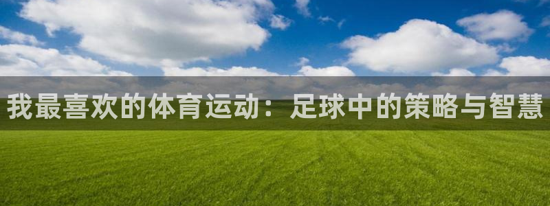 vsport体育官网下载平台是正规平台吗安全吗：我最