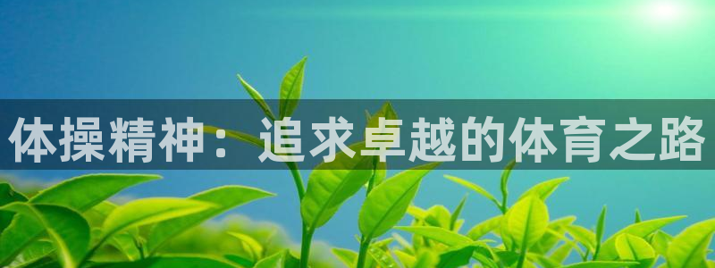 vsport体育官方正版app娱乐平台：体操精神：追