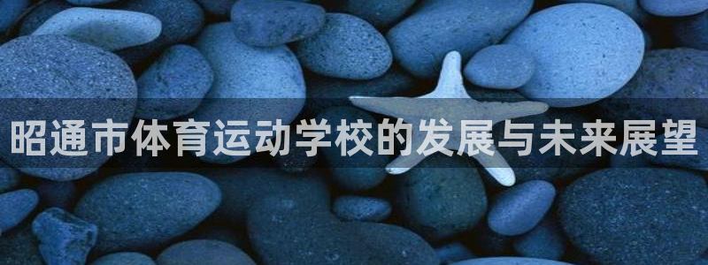 vsport体育官方正版app官网