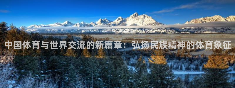vsport体育官方正版app代理：中国体育与世界交