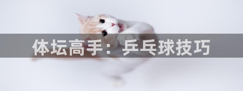 vsport体育官网下载平台是正规平台吗：体坛高手：