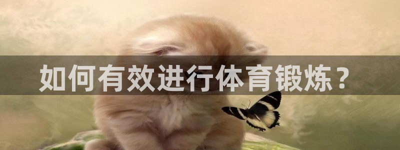 vsport体育官方正版app神州：如何有效进行体育