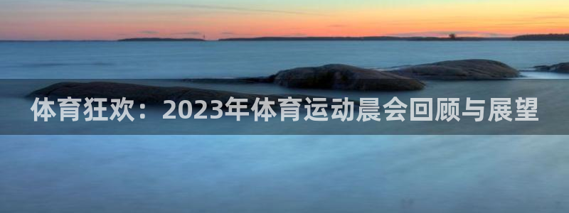 vsport体育官方正版app集团：体育狂欢：202