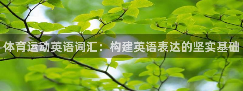 vsport体育官方平台体育：体育运动英语词汇：构建