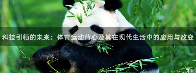 vsport体育官网下载招商电话地址：科技引领的未来：体育运