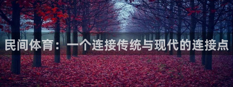 vsport体育官网下载注册：民间体育：一个连接传统