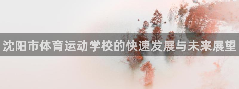 vsport体育官方正版app科技：沈阳市体育运动学