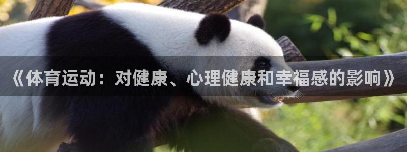 vsport体育官方正版app娱乐网站