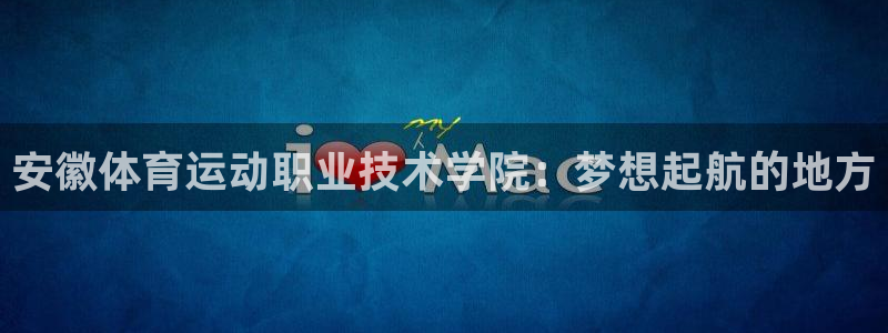 vsport体育官方正版app集团