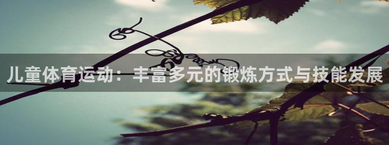 vsport体育官网下载招商电话号码查询是多少：儿童体育运动