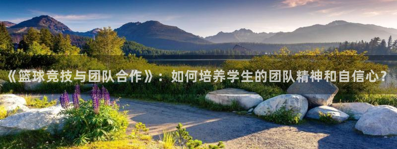 vsport体育官方正版app官网：《篮球竞技与团队合作》：