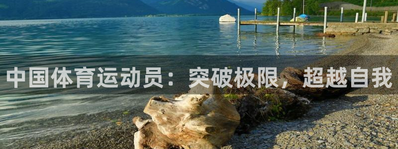 vsport体育官方正版app新能源：中国体育运动员：突破极