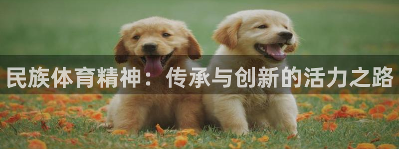 vsport体育官方正版app集团官网首页网址