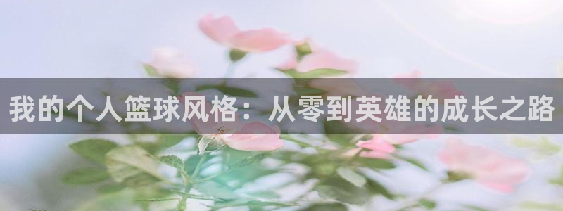 vsport体育官网下载招商电话号码是多少号：我的个人篮球风