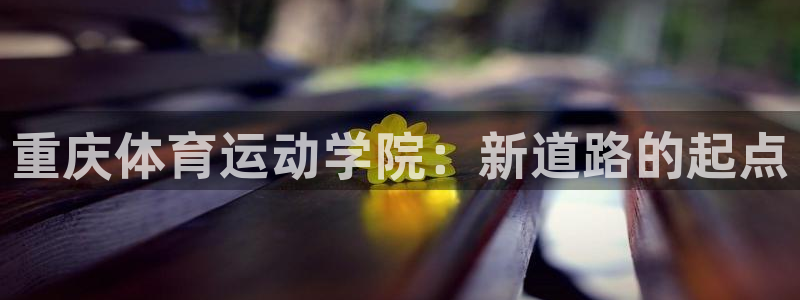 vsport体育官网下载联系电话：重庆体育运动学院：新道路的