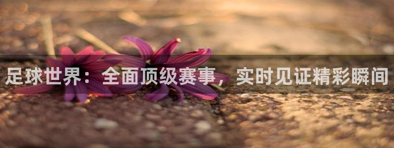 88看球免费直播高清观看：足球世界：全面顶级赛事，实时见证精彩瞬间