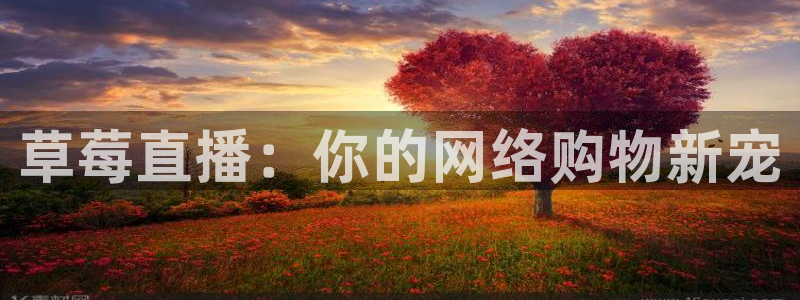 88看球直播平台：草莓直播：你的网络购物新宠