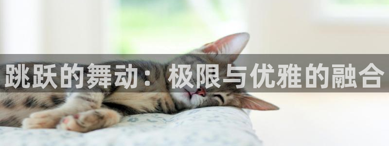 VSport体育官网入口：跳跃的舞动