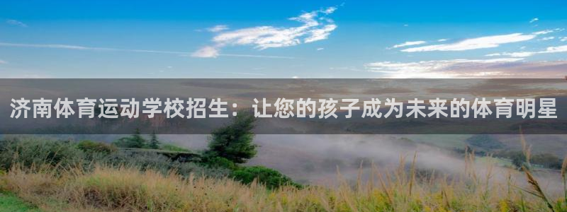 vsport体育阿根廷：济南体育运动