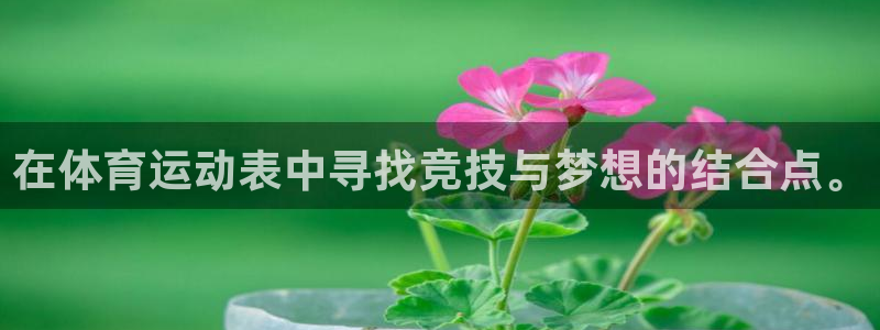 VSport体育官网入口：在体育运动