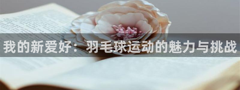  vsport体育在线官网阿根廷：我的新爱好：羽毛球运动的魅力