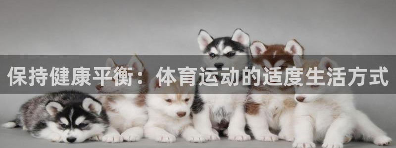 vsport体育阿根廷：保持健康平衡：体育运动的适度生活方式