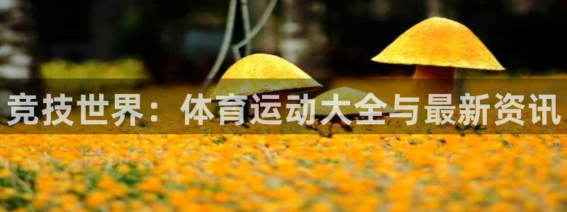 vSport体育在线登录平台：竞技世界：体育运动大全与最新资