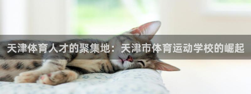 vsport体育在线官网阿根廷：天津体育人才的聚集地：天津市
