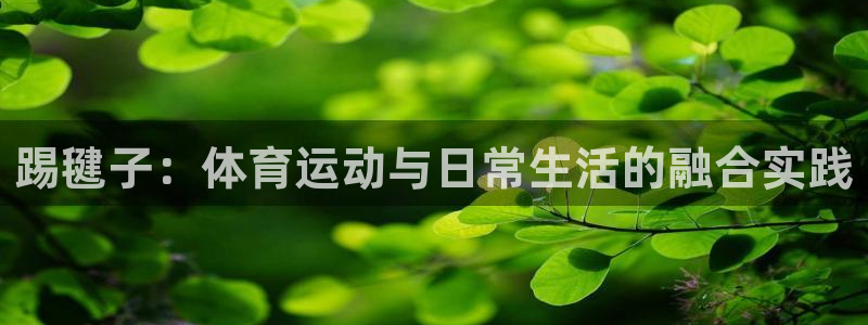vsport体育平台app下载安装免