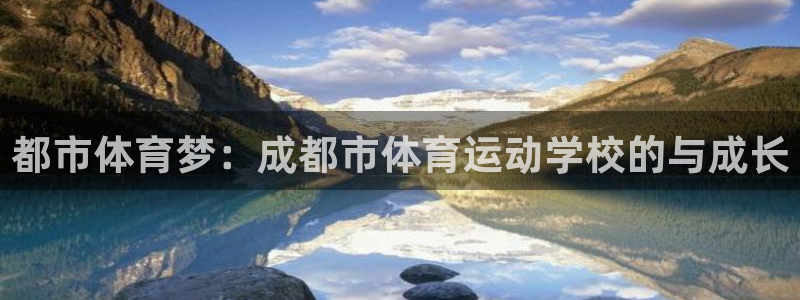 vsport体育在线官网：都市体育梦