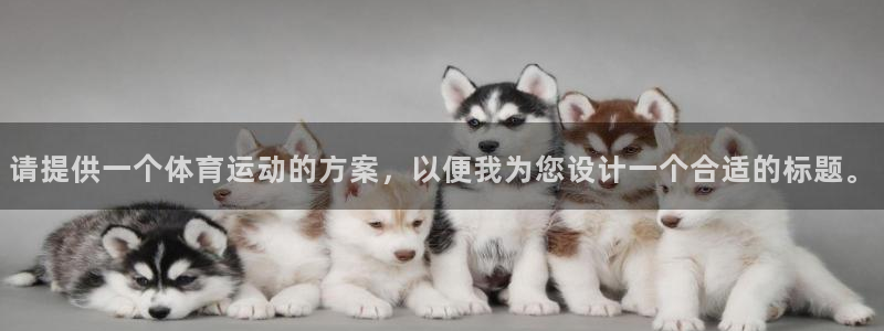  vSport体育在线登录平台：请提供一个体育运动的方案，以便