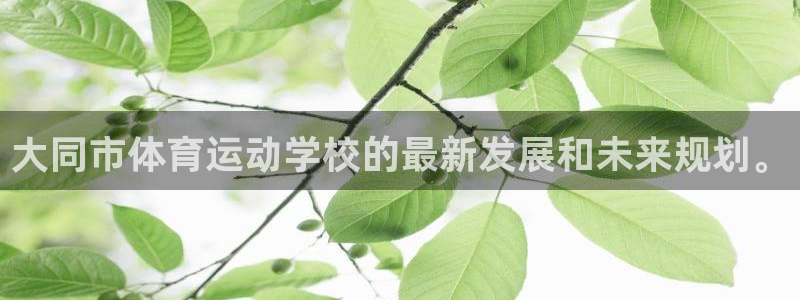 vsport体育平台：大同市体育运动