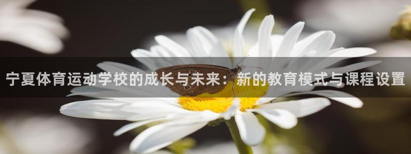 VSport体育官网入口：宁夏体育运