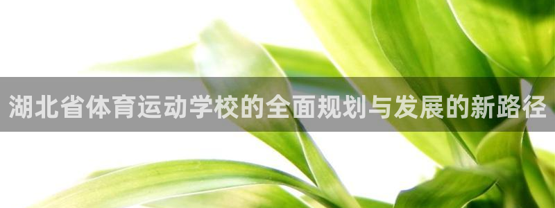 vsport体育平台：湖北省体育运动