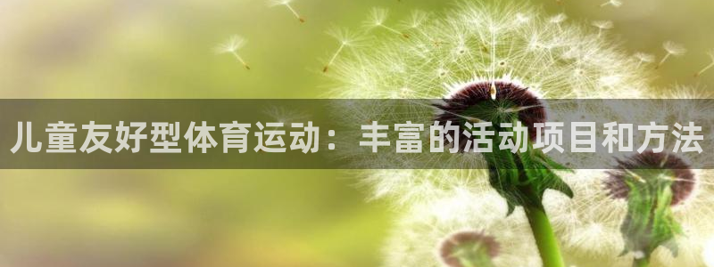 Vsport体育官方网站入口